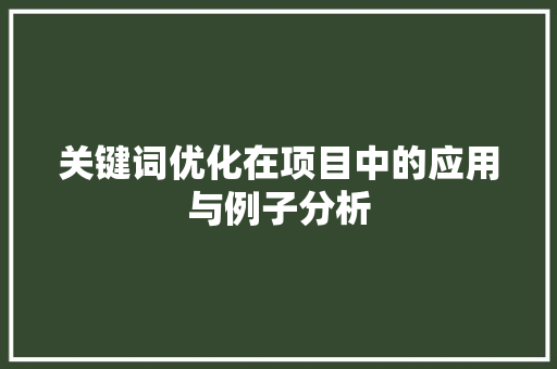 关键词优化在项目中的应用与例子分析