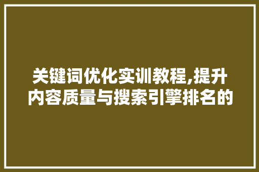 关键词优化实训教程,提升内容质量与搜索引擎排名的方法