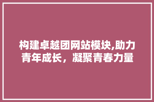 构建卓越团网站模块,助力青年成长，凝聚青春力量