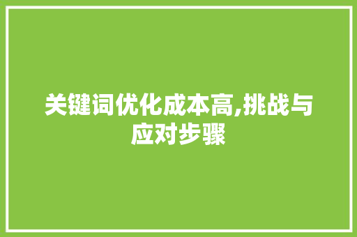 关键词优化成本高,挑战与应对步骤