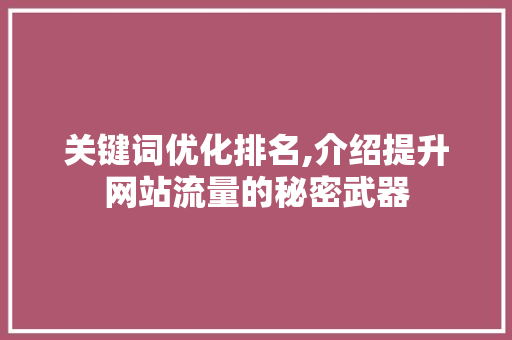 关键词优化排名,介绍提升网站流量的秘密武器