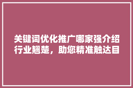 关键词优化推广哪家强介绍行业翘楚，助您精准触达目标客户