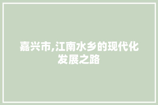 嘉兴市,江南水乡的现代化发展之路