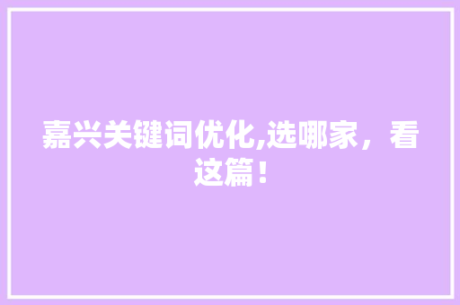 嘉兴关键词优化,选哪家，看这篇！