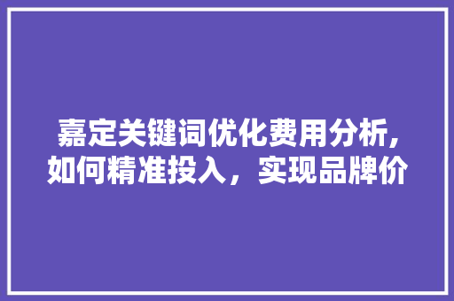 嘉定关键词优化费用分析,如何精准投入，实现品牌价值最大化