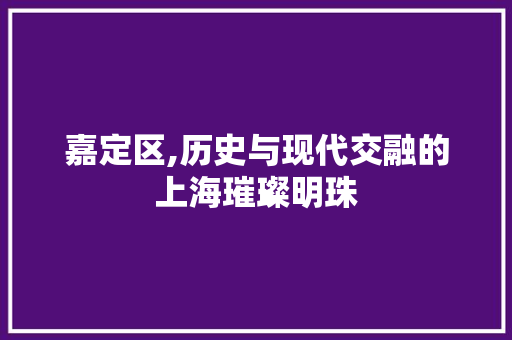 嘉定区,历史与现代交融的上海璀璨明珠