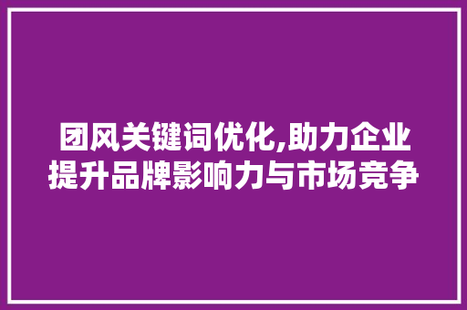 团风关键词优化,助力企业提升品牌影响力与市场竞争力
