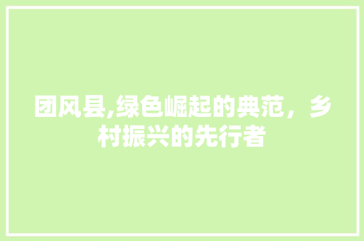 团风县,绿色崛起的典范，乡村振兴的先行者