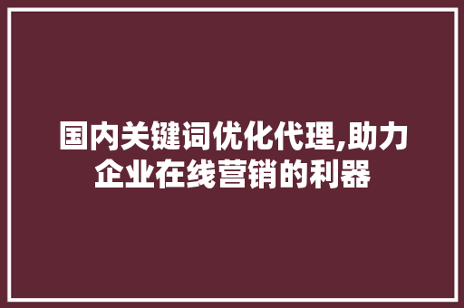 国内关键词优化代理,助力企业在线营销的利器