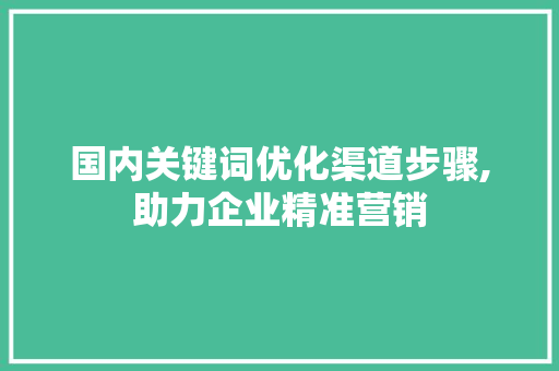 国内关键词优化渠道步骤,助力企业精准营销