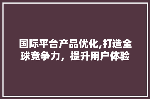 国际平台产品优化,打造全球竞争力，提升用户体验