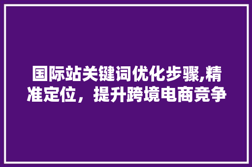 国际站关键词优化步骤,精准定位，提升跨境电商竞争力