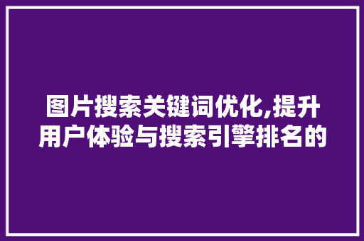 图片搜索关键词优化,提升用户体验与搜索引擎排名的关键步骤