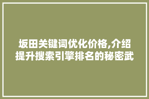 坂田关键词优化价格,介绍提升搜索引擎排名的秘密武器