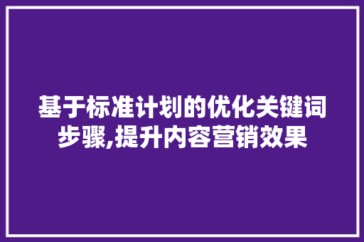 基于标准计划的优化关键词步骤,提升内容营销效果