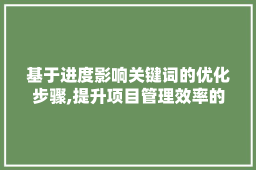 基于进度影响关键词的优化步骤,提升项目管理效率的关键路径