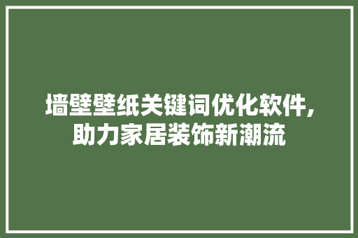 墙壁壁纸关键词优化软件,助力家居装饰新潮流