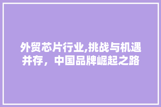外贸芯片行业,挑战与机遇并存，中国品牌崛起之路