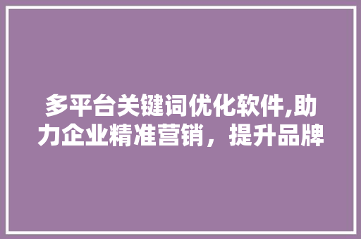 多平台关键词优化软件,助力企业精准营销，提升品牌影响力
