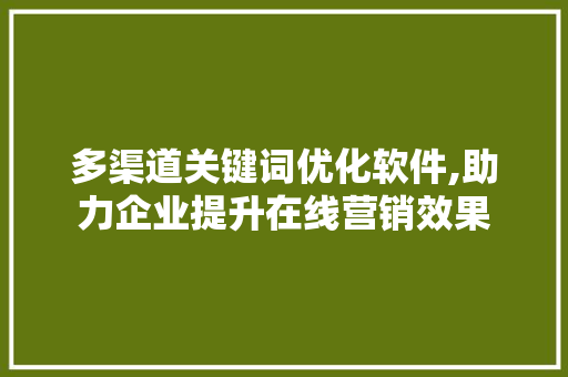 多渠道关键词优化软件,助力企业提升在线营销效果