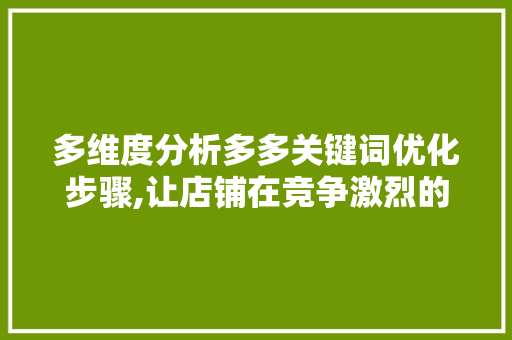 多维度分析多多关键词优化步骤,让店铺在竞争激烈的市场中脱颖而出