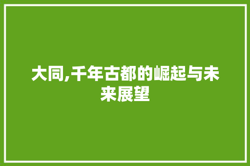 大同,千年古都的崛起与未来展望