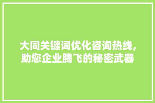 大同关键词优化咨询热线,助您企业腾飞的秘密武器