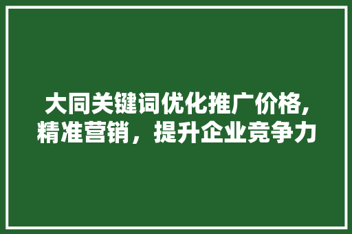 大同关键词优化推广价格,精准营销，提升企业竞争力 后端技术