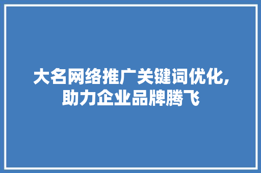 大名网络推广关键词优化,助力企业品牌腾飞