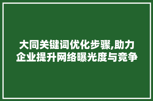 大同关键词优化步骤,助力企业提升网络曝光度与竞争力