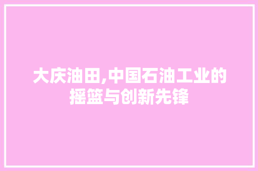 大庆油田,中国石油工业的摇篮与创新先锋