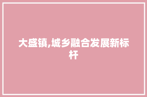 大盛镇,城乡融合发展新标杆
