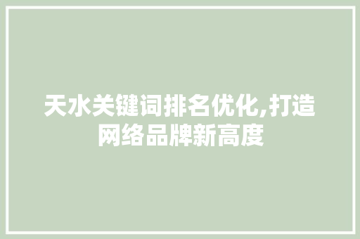 天水关键词排名优化,打造网络品牌新高度