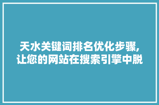 天水关键词排名优化步骤,让您的网站在搜索引擎中脱颖而出