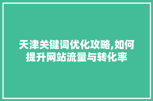 天津关键词优化攻略,如何提升网站流量与转化率
