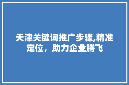 天津关键词推广步骤,精准定位，助力企业腾飞