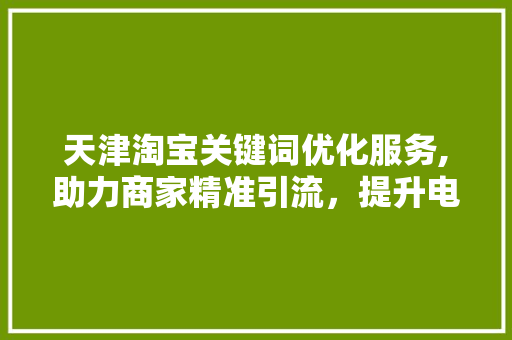天津淘宝关键词优化服务,助力商家精准引流，提升电商竞争力