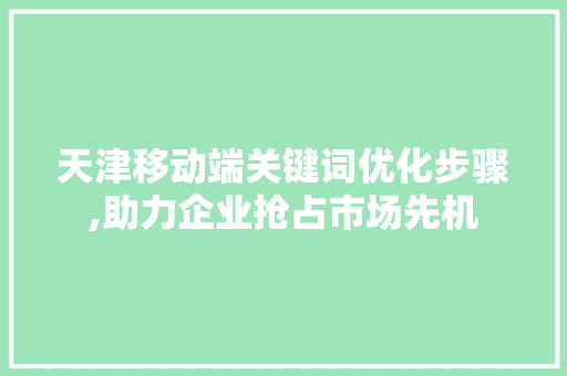 天津移动端关键词优化步骤,助力企业抢占市场先机