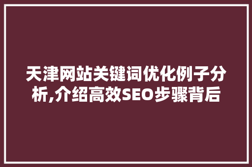 天津网站关键词优化例子分析,介绍高效SEO步骤背后的秘密