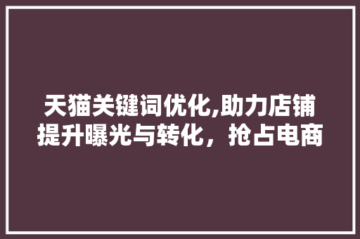 天猫关键词优化,助力店铺提升曝光与转化，抢占电商市场先机