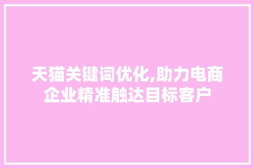 天猫关键词优化,助力电商企业精准触达目标客户