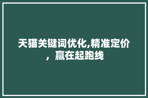 天猫关键词优化,精准定价，赢在起跑线