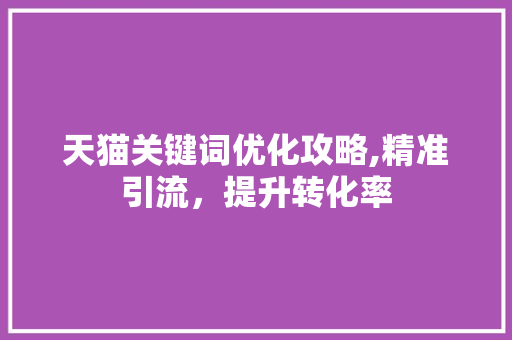 天猫关键词优化攻略,精准引流，提升转化率 后端技术