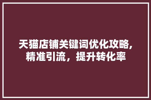 天猫店铺关键词优化攻略,精准引流，提升转化率