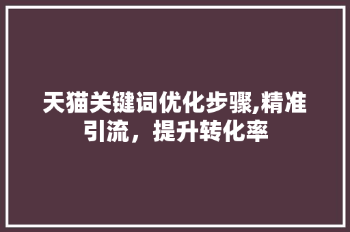 天猫关键词优化步骤,精准引流，提升转化率