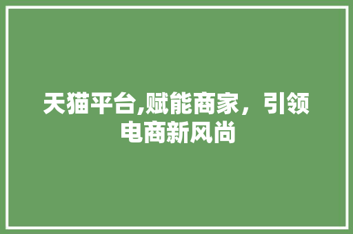 天猫平台,赋能商家，引领电商新风尚