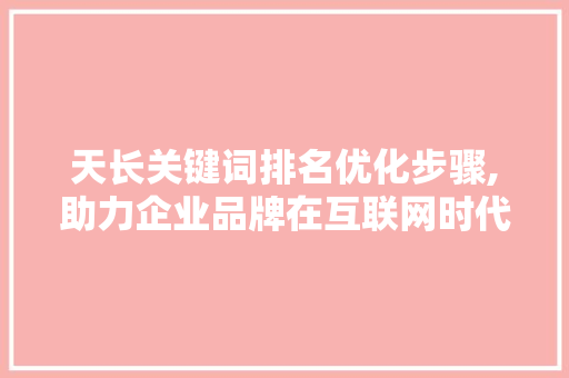 天长关键词排名优化步骤,助力企业品牌在互联网时代的崛起