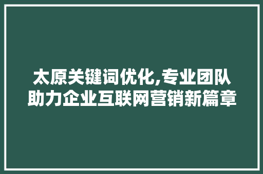 太原关键词优化,专业团队助力企业互联网营销新篇章