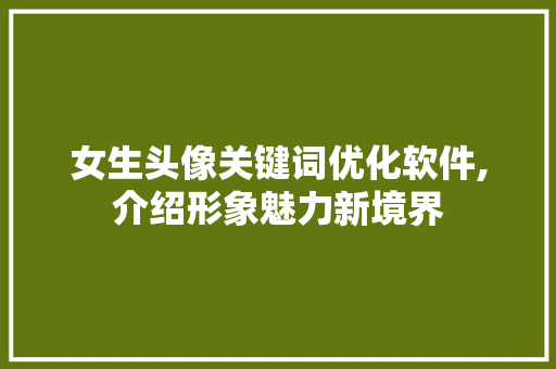 女生头像关键词优化软件,介绍形象魅力新境界