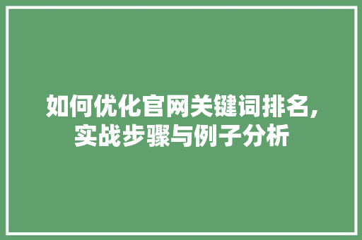 如何优化官网关键词排名,实战步骤与例子分析